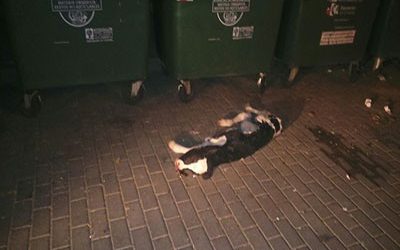 El Ayuntamiento pide concienciación ciudadana ante el uso indebido de los contenedores de basura