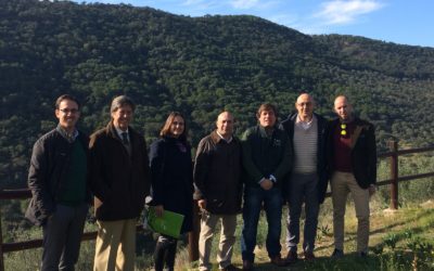 El Concurso Internacional de Aceites de Oliva Virgen Extra Ecológicos, Ecotrama 2016, se celebrará en Pozoblanco