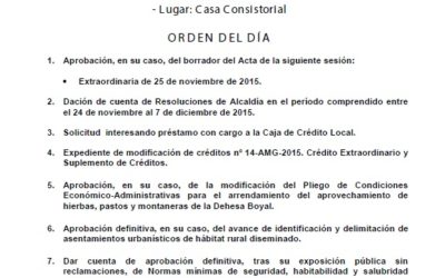 Orden del Día Pleno de Diciembre