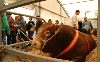 Más de 85.000 personas han visitado la Feria Agroganadera 2016, que consigue un volumen de negocio cercano a los dos millones de euros