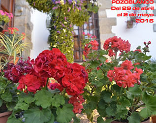 Un total de veinticinco colectivos participarán en la Muestra popular de Cruces de Mayo 2016