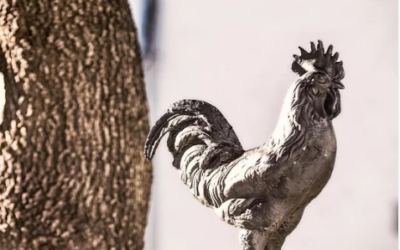 Ya está disponible la APP Pozoblanco para Android e IOS de Apple