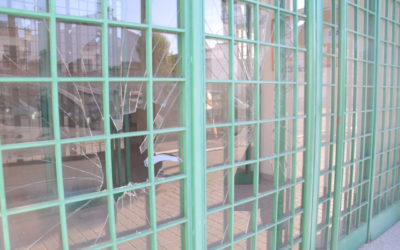 Emiliano Pozuelo convocará a los alcaldes de la comarca para pedir protección para los veterinarios