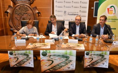 Pozoblanco y Villanueva de Córdoba serán las sedes  del campeonato Andaluz de Baloncesto Infantil