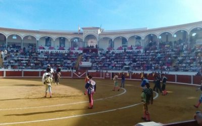 El Coso de los Llanos nominada a mejor Plaza de Toros de la provincia de Córdoba en los Premios Puerta de Los Califas