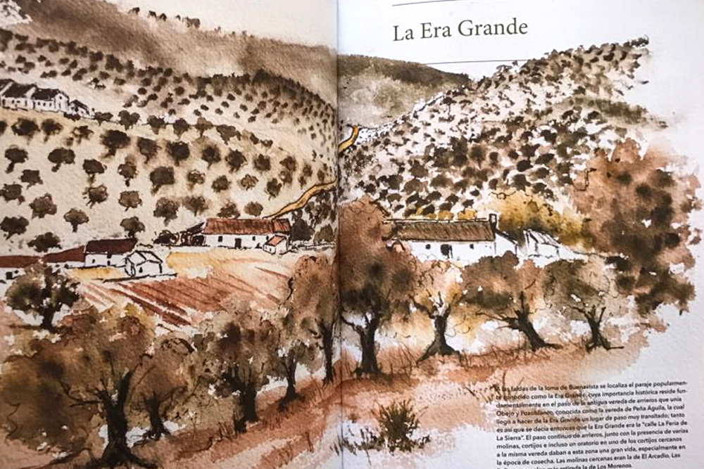 El Ayuntamiento edita un libro que recoge y pone en valor la cultura del olivar de sierra de Los Pedroches 1