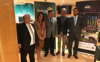 La XXV Feria Agroganadera y XV Agroalimentaria de Los Pedroches contará con una exposición de 1.200 cabezas de ganado