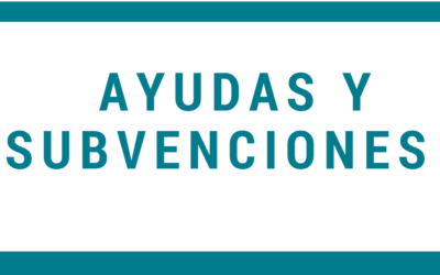 Ayudas para el alquiler de viviendas a personas en situación de vulnerabilidad o con ingresos limitados
