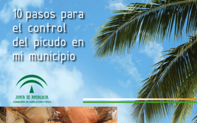 Información sobre el control del picudo rojo en el municipio