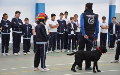 Taller de «Cooperación Internacional e intervención ante catástrofes»