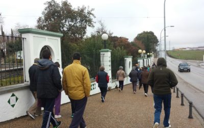 Lunes saludables… también en miércoles
