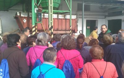 Los participantes de los Lunes Saludables han visitado las instalaciones de la cooperativa olivarera