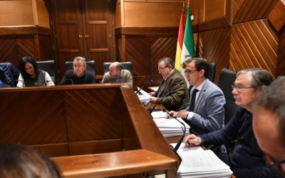El Pleno aprueba la modificación de varias ordenanzas y aplaza el debate presupuestario