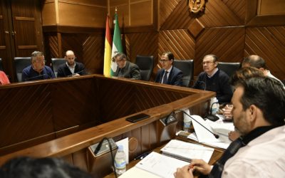 El Pleno aprueba la ampliación del polígono industrial de la Dehesa Boyal