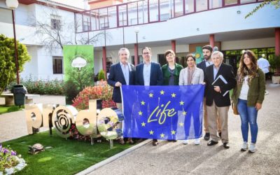 La adopción de buenas prácticas en la dehesa centran las jornadas de El Dehesafío