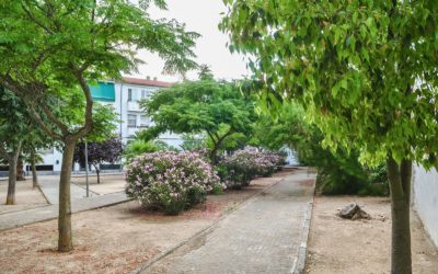 El Ayuntamiento concluye la reforma integral de la calzada y el parque infantil de la calle Congreso