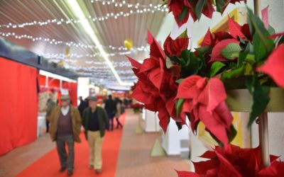 El Mercado Navideño se suspende ante la imposibilidad de completar los puestos ofertados