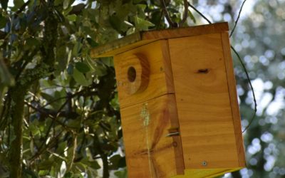 La Casa de la Juventud propone variedad de talleres para el primer trimestre de 2019