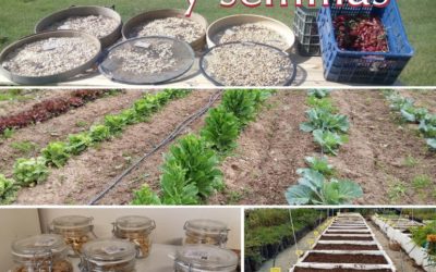 La Concejalía de Medio Ambiente vuelve a participar en el reparto de semillas de variedades hortícolas autóctonas