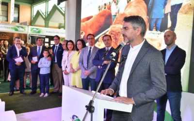 El Plan de Empleo 2018 ha recibido 93 solicitudes para la creación de empresas y ayudas a la contratación