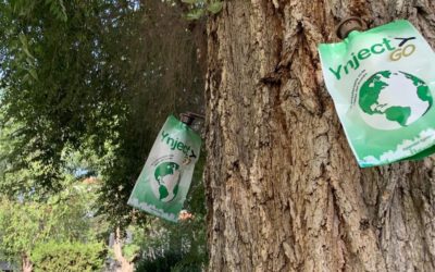 El Ayuntamiento de Pozoblanco realiza una innovadora campaña de saneamiento en 70 olmos