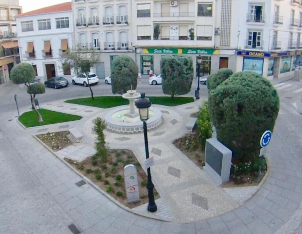 El Ayuntamiento concluye la reforma del histórico entorno de la Plaza de la Constitución 1
