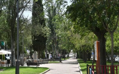 El Ayuntamiento de Pozoblanco comienza el plan de regeneración de arboleda y zonas verdes en el municipio