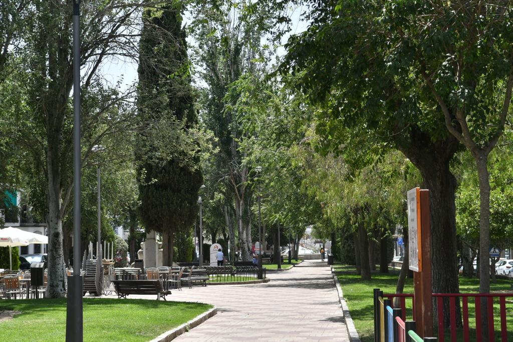 El Ayuntamiento de Pozoblanco comienza el plan de regeneración de arboleda y zonas verdes en el municipio 1