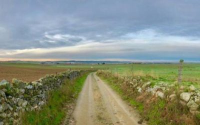 El Ayuntamiento aprueba el inventario de caminos de uso público del término municipal de Pozoblanco