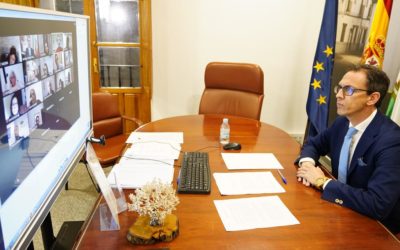 El Pleno de Pozoblanco reclama al Gobierno central que rectifique e impulse la nueva línea eléctrica de 400 kilovoltios