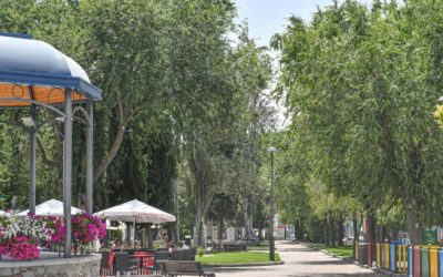 El Ayuntamiento de Pozoblanco aprueba un Plan Director de Arbolado pionero con el objetivo de ampliar las plantaciones de árboles y las zonas verdes