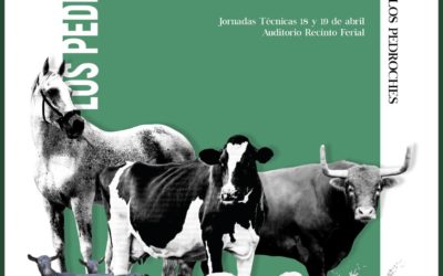 La XXIX Feria Agroganadera y XIX Agroalimentaria de  Los Pedroches contará con una exposición de más de 1.000 cabezas de ganado