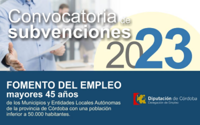 Programa «Fomento Empleo Mayores de 45 Años»