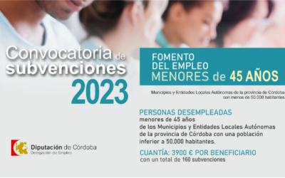 Programa «Fomento Empleo Menores de 45 Años»